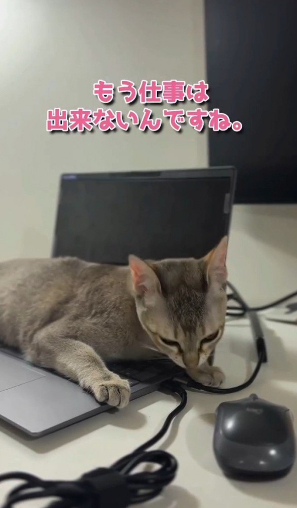「もう仕事はできないんですね」と書かれた写真