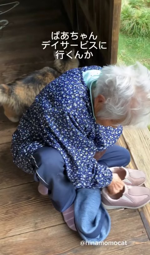 縁側で靴を持っているおばあちゃんに寄り添う猫