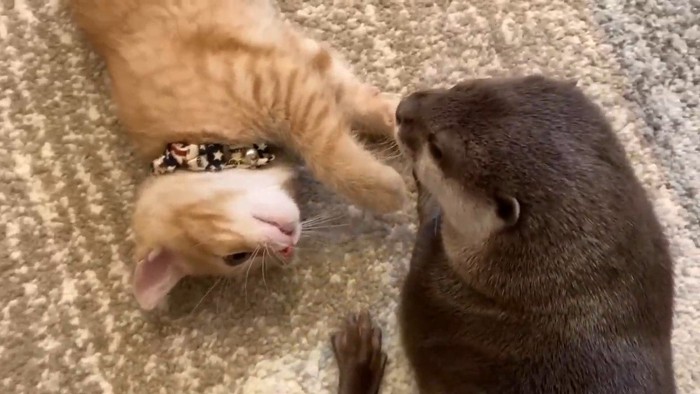 床に寝るふたり