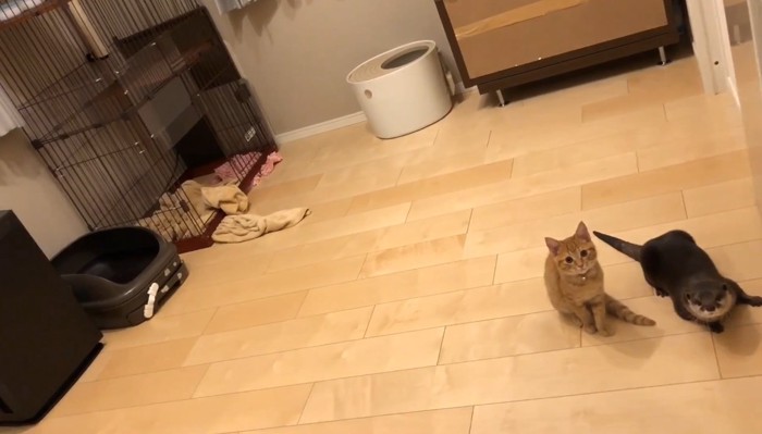 見送るふたり