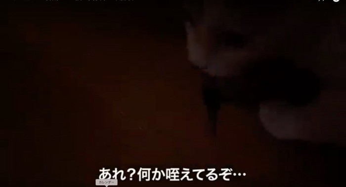 何かをくわえている