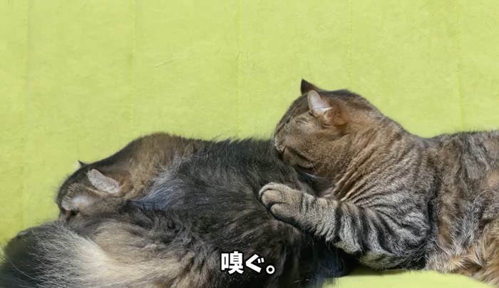 嗅ぐ