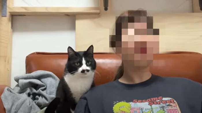 飼い主の後ろでじっと座っている猫