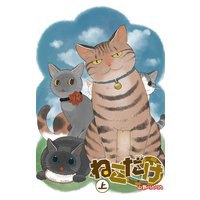 ねこだけ上