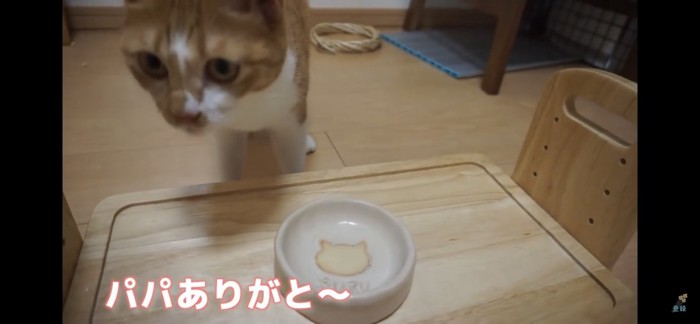 完食