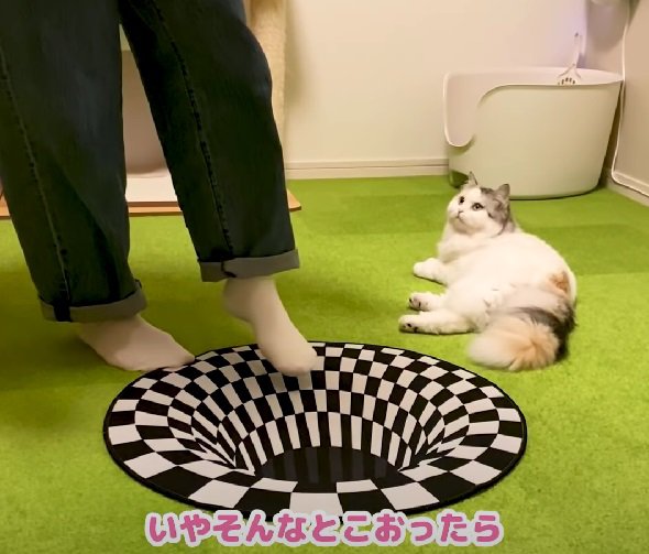 落とし穴に落ちるフリをする飼い主さん