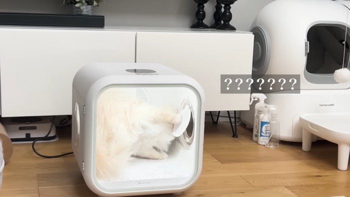 ??????
