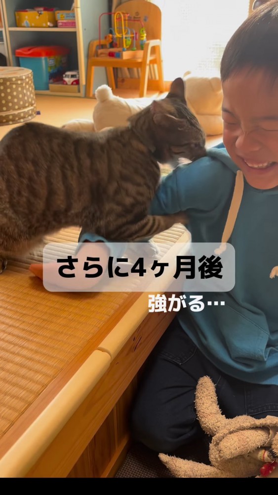 子供の肩をかもうとする猫