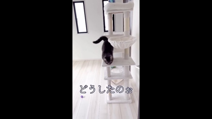 向かってくる姿