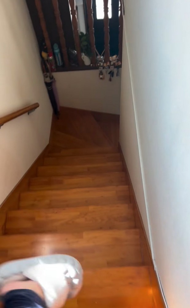 階段を登る飼い主