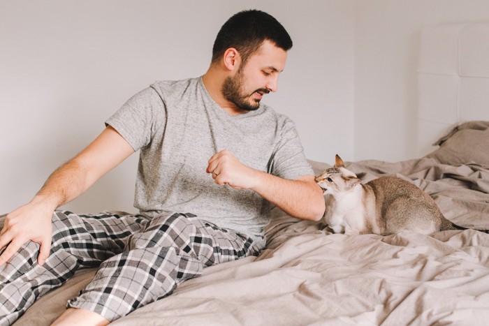 男性のヒジに噛みつく猫