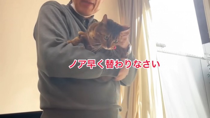 抱っこされる赤い鈴の猫