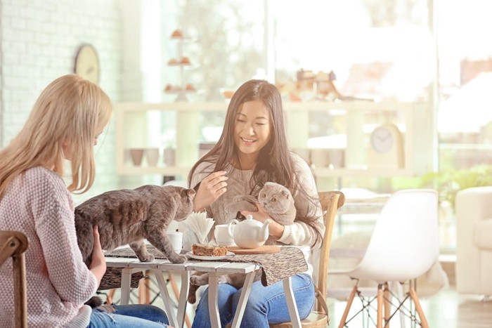 猫と一緒にカフェを楽しむ二人の女性