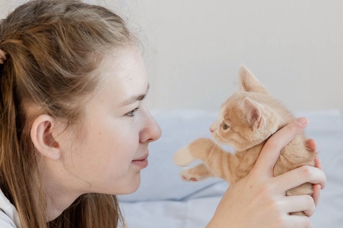 子猫を正面から見つめる