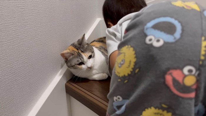 猫に顔を寄せる男の子