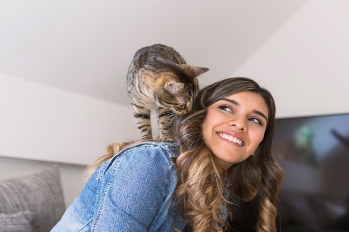 女性の肩に乗る猫