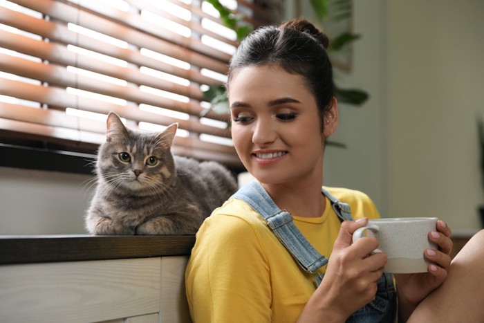 コーヒーを飲む飼い主の側でくつろぐ猫