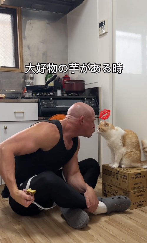 男性に鼻チューをする猫