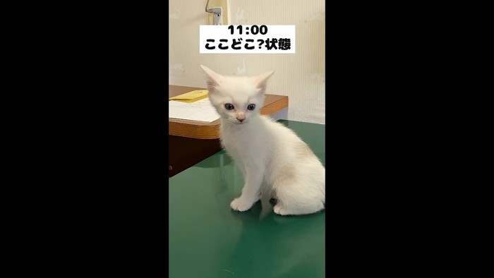 ここどこ？状態
