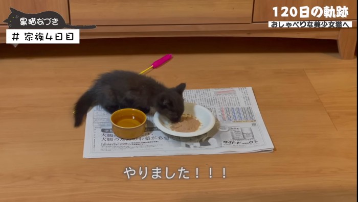 4日目