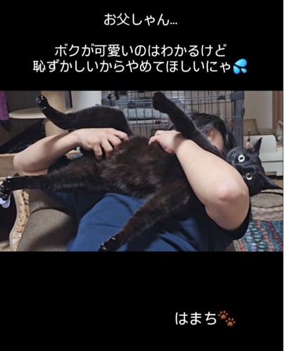 猫吸いする男性