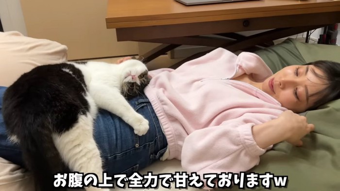 人の膝の上で甘える猫