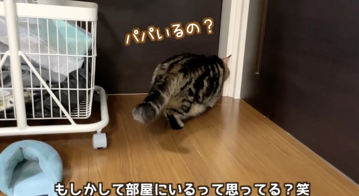 パパの部屋のドアをクンクン