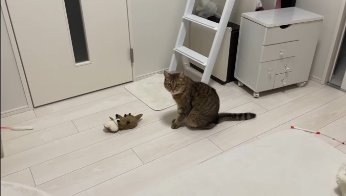 こちらを見るみにらくん