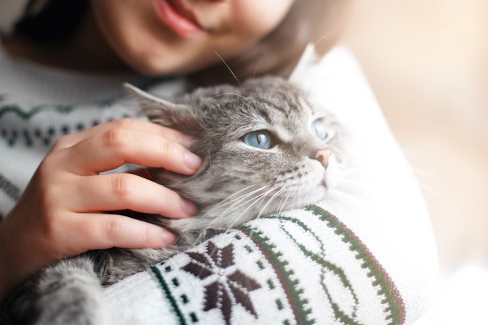 女性の腕の中で撫でられる猫