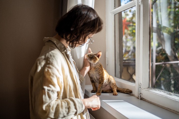 窓辺で女性に撫でられる猫