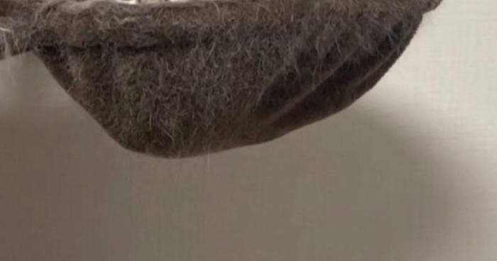 キャットタワーのハンモック