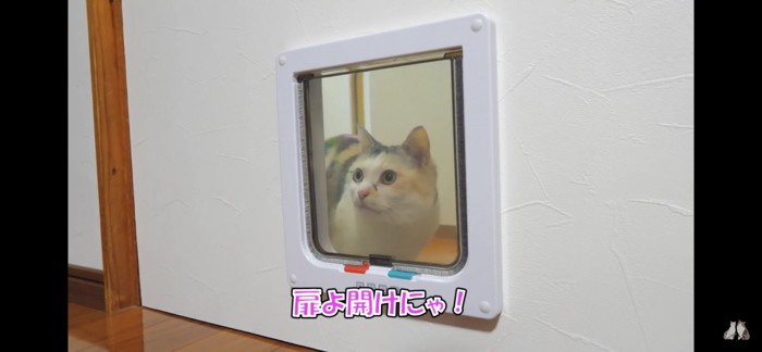 開くの待ち