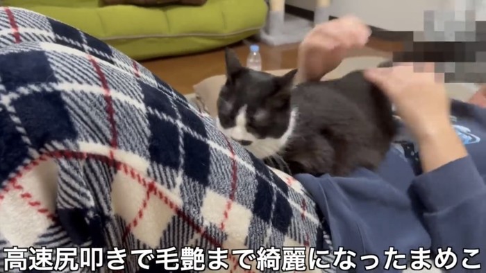 床に寝転がる飼い主と猫