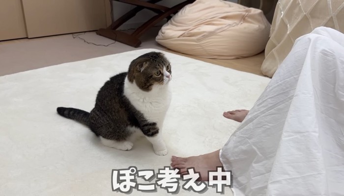 考え中