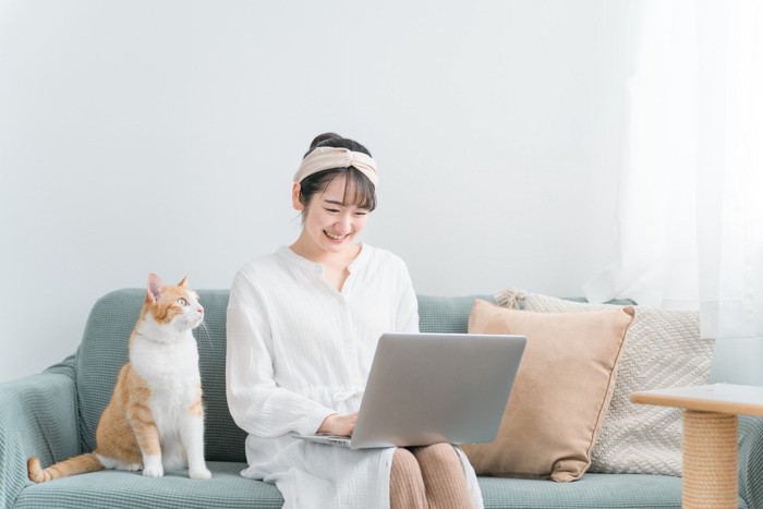 猫と在宅ワーク