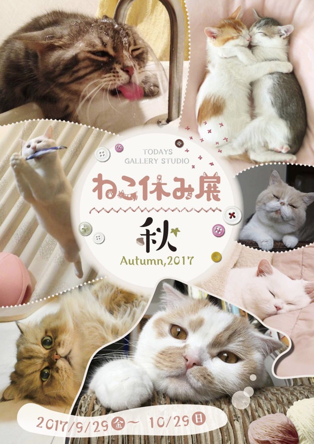 ねこ休み展