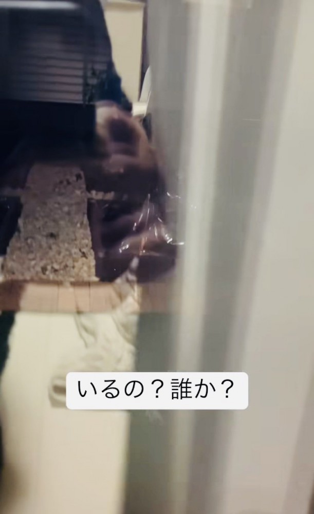 カーテンを開けて窓の外を確認するパパ