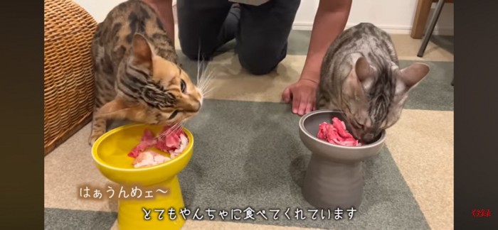 食べる