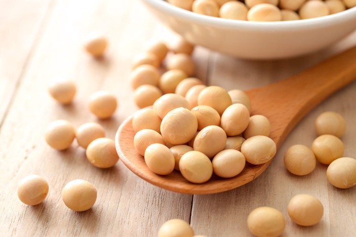 木のスプーンにのせられた大豆