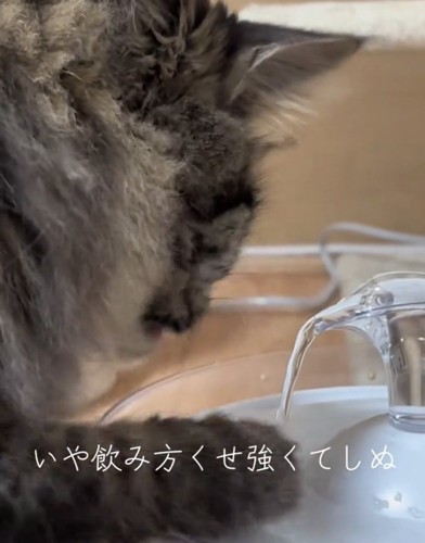 手を濡らすスンスンちゃん