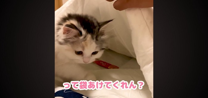 袋あけてくれん？