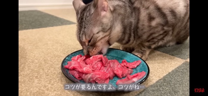 鶏肉