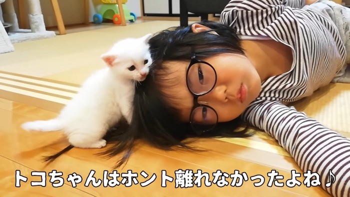 子猫時代
