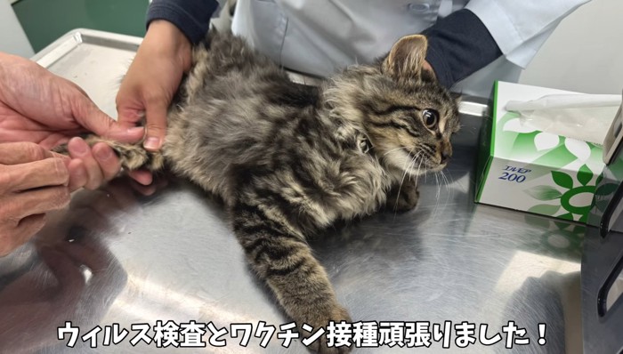 診察中