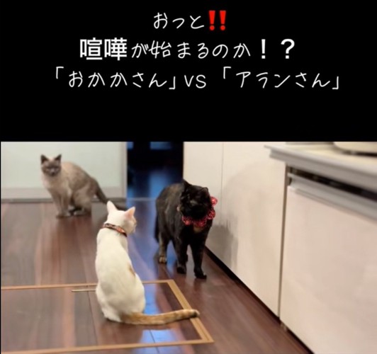 喧嘩の直前