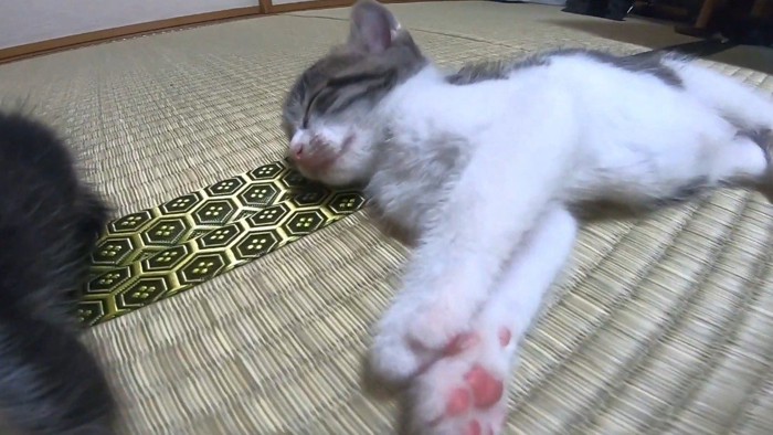 横から