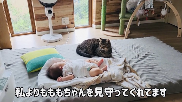 眠る赤ちゃんを見守るキジトラ猫