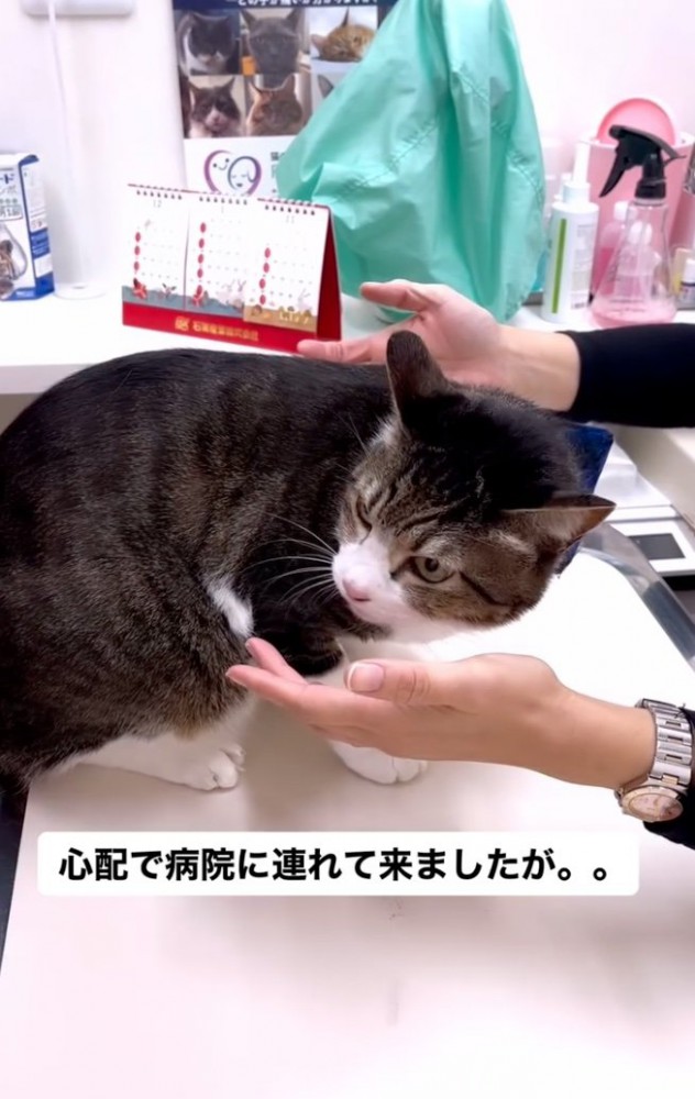 診察を開始