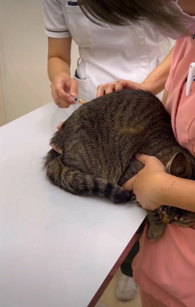 注射