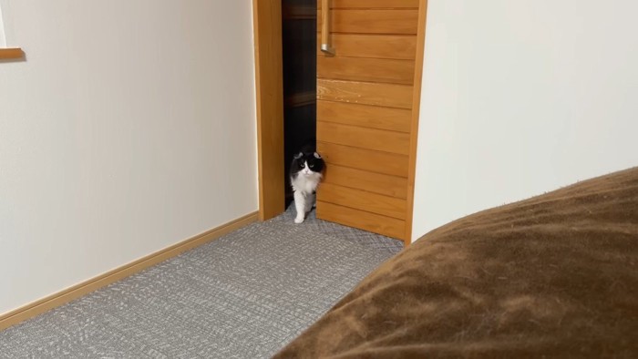 部屋に入るこころちゃん